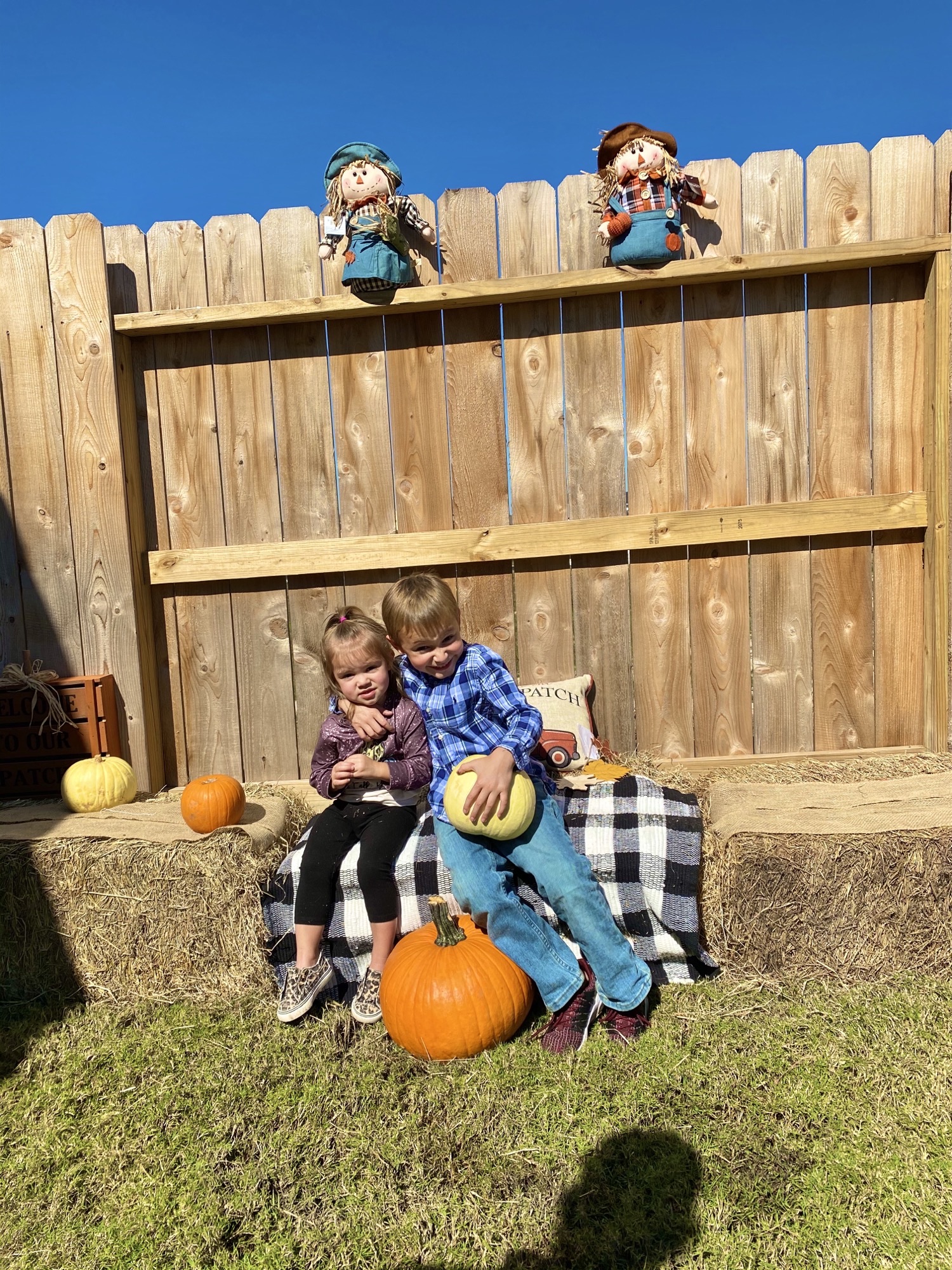 Perry Pumpkin Patch 3